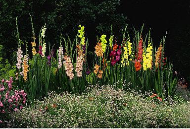 卡卡颂桌游塔防《城堡之巅》于今日在Steam发售